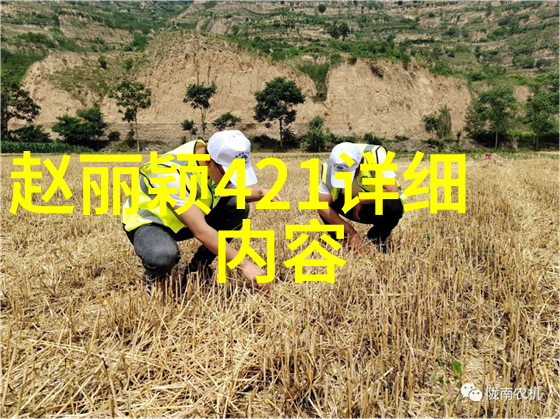 角落娱乐我在咖啡馆的角落里发现了生活的美好