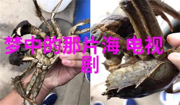 娱乐界的边界国家敢否动手