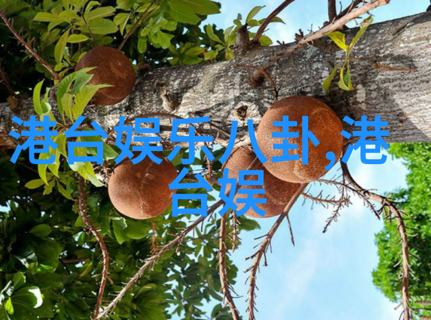 娱乐八卦大爆料明星私密照曝光