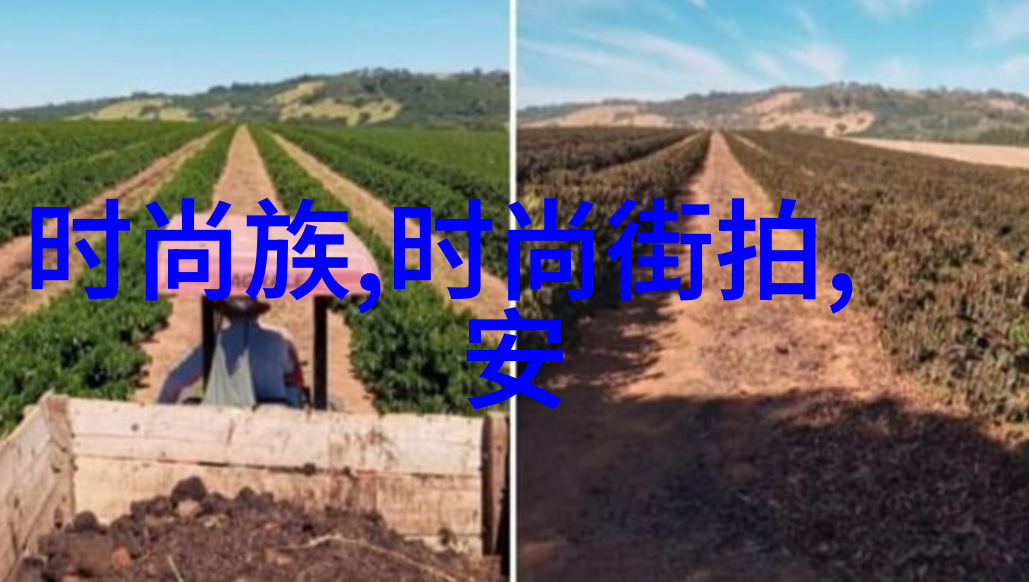 探寻根源的旅程我们属于哪里