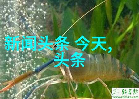 艳舞写真-绚烂光芒下的艳舞艺术探索写真中的色彩与动感