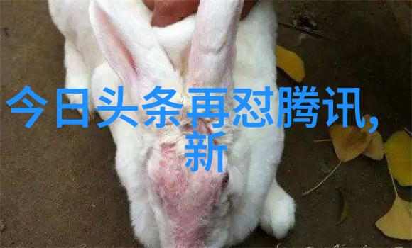 人生小憩通过图片感受一个人静 静的魅力