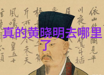 王子慧明日之子娱乐公司中大牛与王子慧是否是双胞胎姐妹