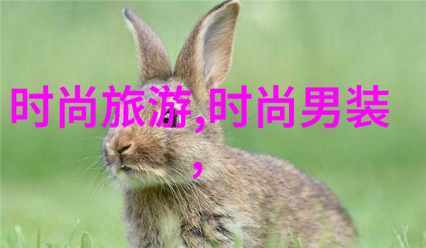 法则与机遇历史与未来以先天中天后天八卦图为镜鉴看世界变化