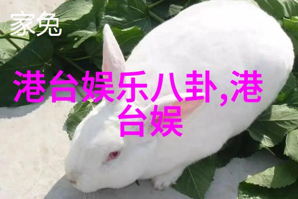 占星师的无价之策一事一占揭秘命运