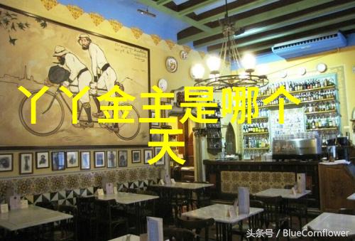 写真探秘揭开镜头背后的艺术故事
