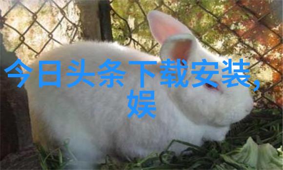 网红雪梨面相我是如何在生活中找到属于自己的甜蜜瞬间