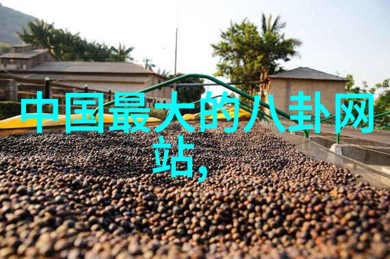头条新闻朱丹产后首晒素颜照气色红润有光泽对偶