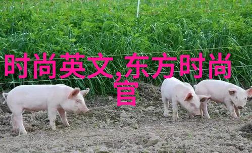 拍摄真实生活场景中的写真图片有哪些技巧