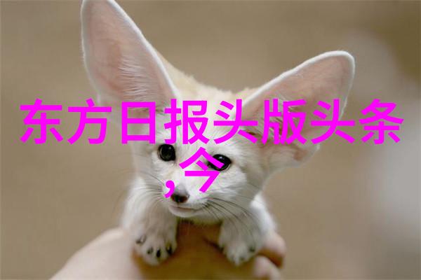 歌声飘渺如何在网络海洋中捕捉无价的旋律