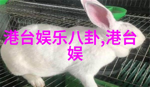 色彩盛宴智力障碍群体真实出演篮球冠军以不凡的技巧制胜引得观众一片赞誉