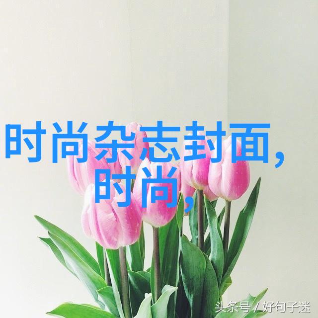 季节-立冬的温暖拍摄技巧与美图推荐