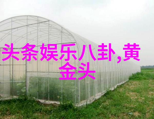 镜中无人揭秘那些不宜佩戴八卦镜的人群