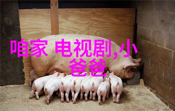 欢迎光临 电视剧你是我生活中最美的电视剧