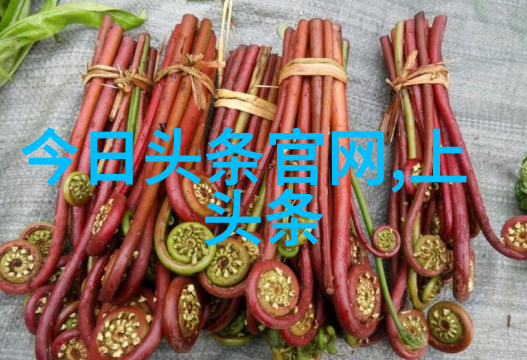七大陆奇遇记陈孟奇的探险之旅