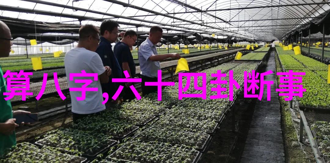 全能影视幕后大师与银屏奇迹的创造者