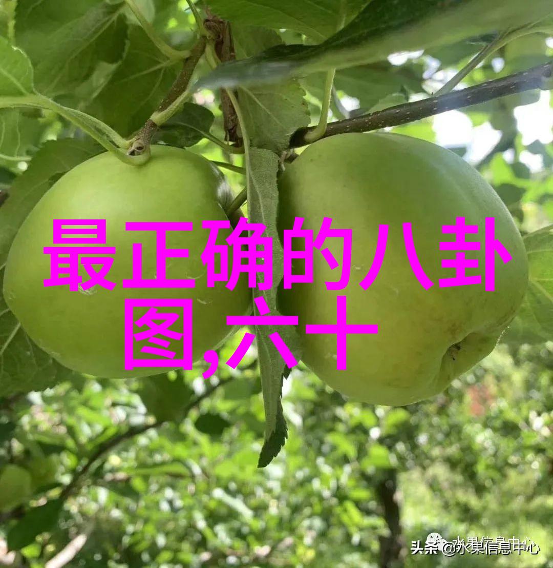 江苏台主持人李好郭晓敏大婚盛况如天美影视传媒有限公司倾情赞助的自然风光中举行