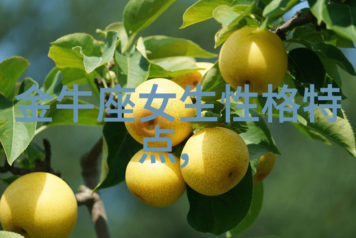 老少交玩TUBE跨代共享的乐趣与智慧