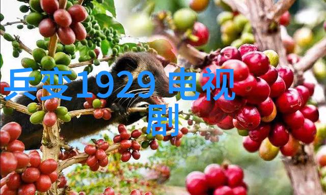 跨时代启示录在当今社会中重温四象生成八卦的意义