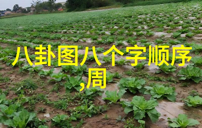 全能影视-梦幻制作人揭秘全能影视的创意与技术