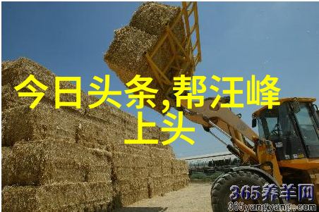 张震岳坦言自己不爱钱 出道多年仍需艰苦还房贷