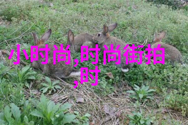 虎牙青蛙淡定开播不在意秀场冷清 透露打算周日让长相像网红的老王正式首秀入社会