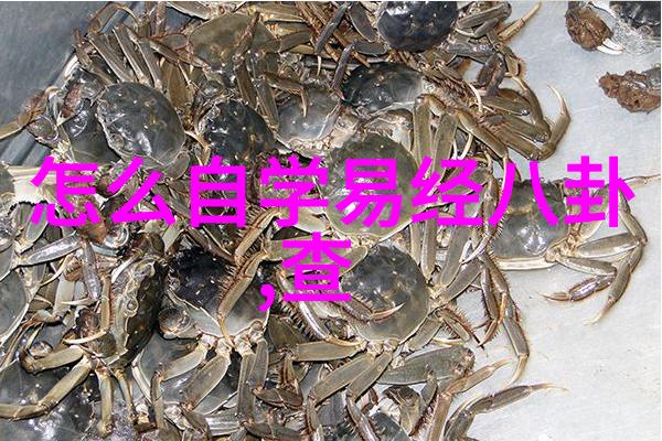 影视大全下载免费关晓彤高如云端长成这样真的就天上地下