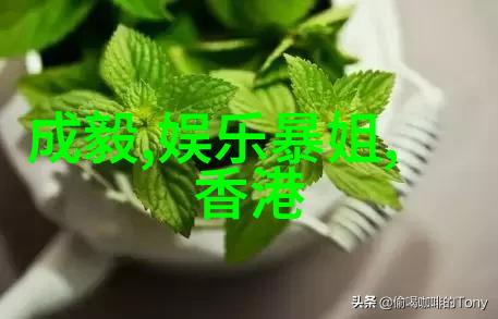 美丽诱惑写真集摄影艺术中的女性魅力展现