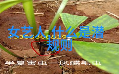 奇幻冒险-什么人不能挂八卦镜守护者与隐秘之光