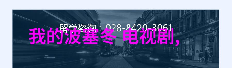 综艺盛宴中的欢乐麻花开心的节奏与无限可能