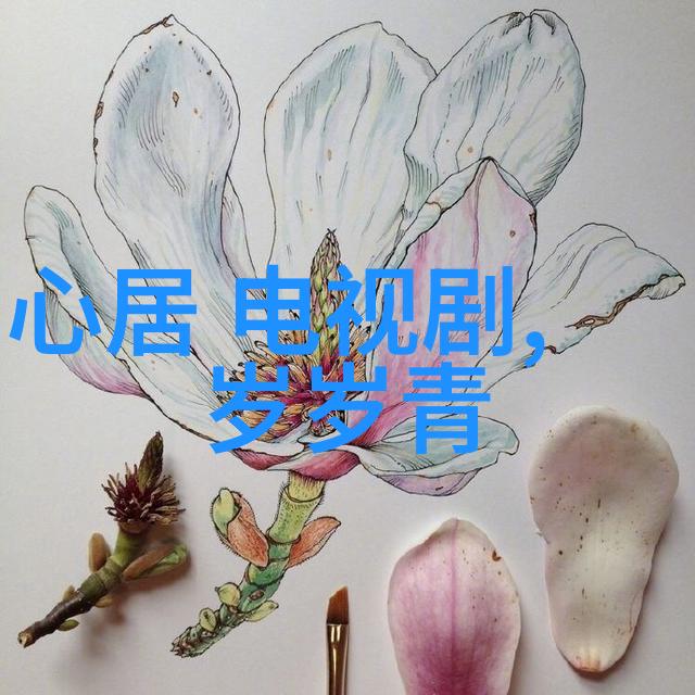 影院里的八角笼电影艺术的空间探索