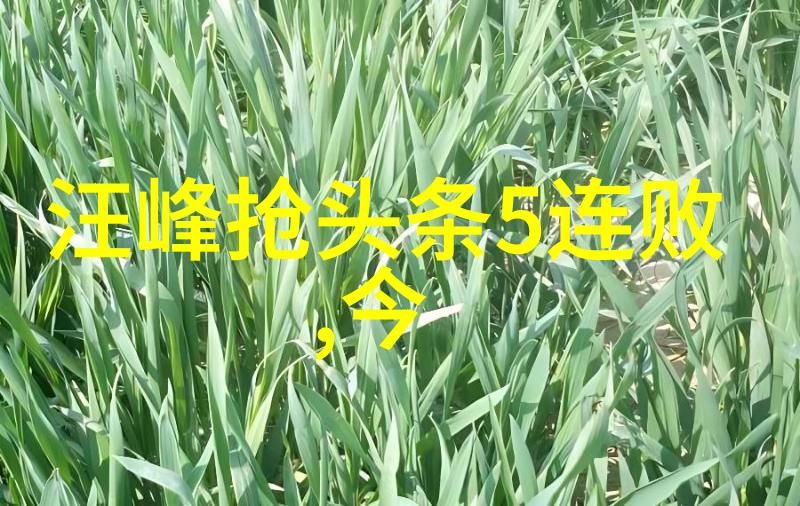 妈阁是座城预告来了白百何在赌城与黄觉吴刚共舞票房将开启新篇章