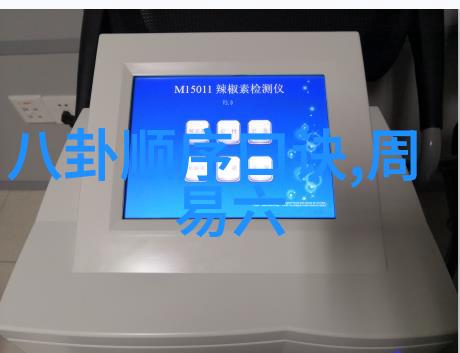在各种挑战和游戏中哪位成员通常是团队中的领军人物呢