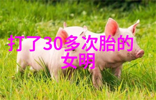 星光下的隐秘交响曲范冰冰与影寰的共鸣