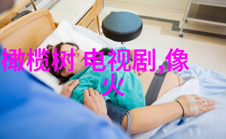 深宫谍影中皇后娘娘的真实身份被揭开背后的秘密更惊人她与一位身处逆境的男子之间隐藏着怎样的情缘