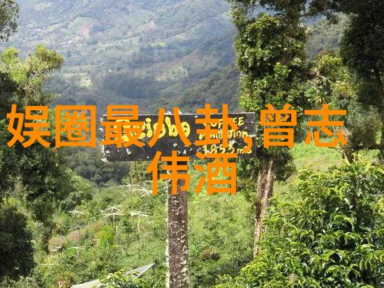 免费个性签名12个字QQ网名选择器