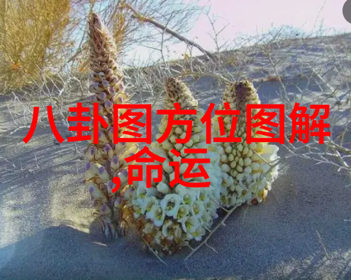 台湾人回大陆时机台湾与大陆关系的发展进程