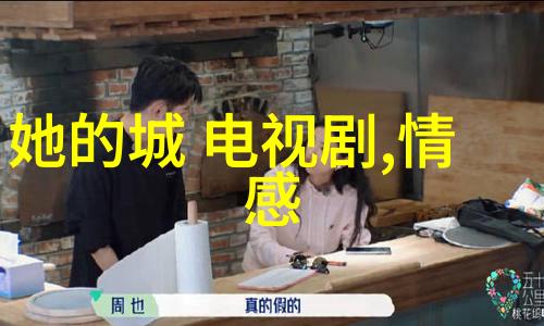 他们是如何处理粉丝之间的争议和偏见的