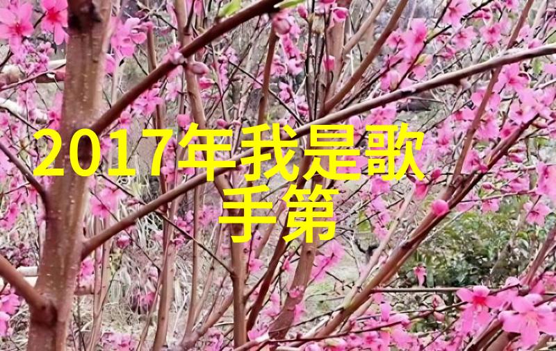 我来帮你找十大抖音背景音乐让你的视频更加火爆