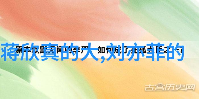 爱情友情和梦想我的前半生中哪些关系最为深刻