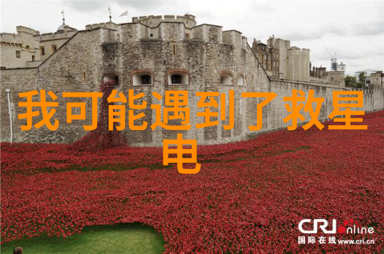 我是蒙古国的孩子 我们要求并入中国