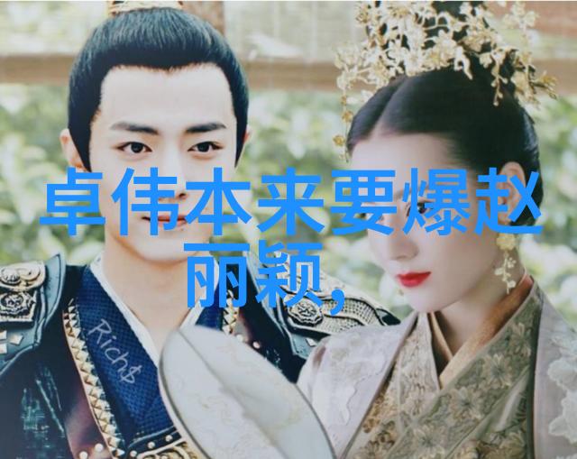 佟丽娅傍上谁了天涯-星光下的共鸣佟丽娅与她的影视伙伴