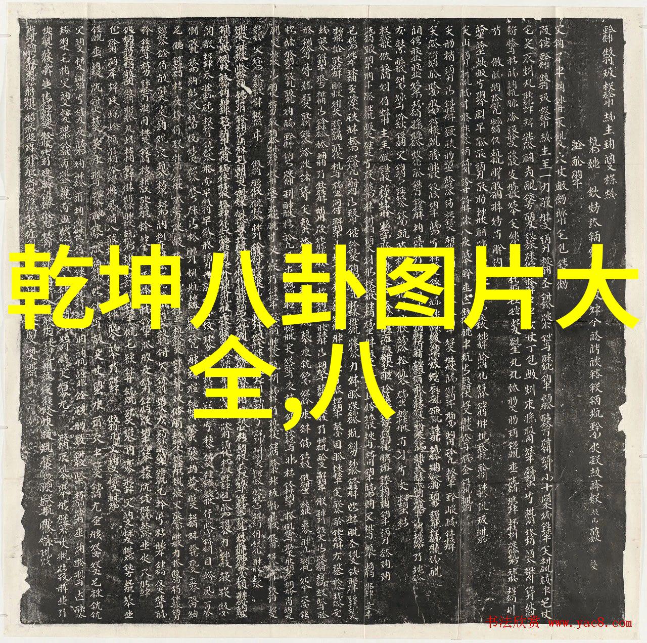 网红雪梨照片捕捉时尚与自然的完美对话