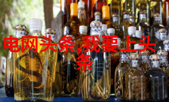 新南向政策台湾的发展机遇与挑战