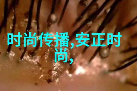 揭秘天人合一易经解读生辰八字的奥秘与智慧