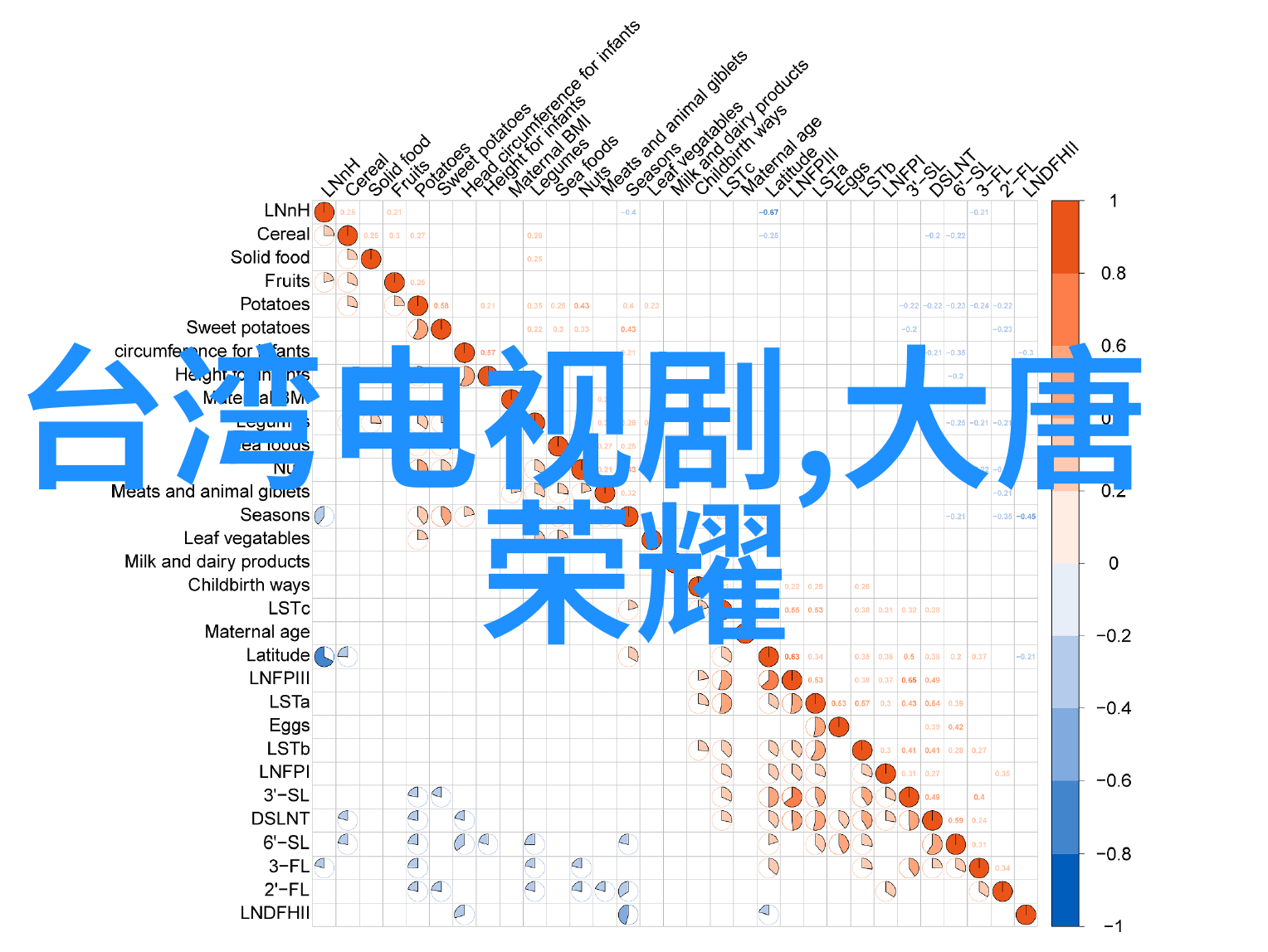 守护一份隐秘的梦想小妇人的影像传承