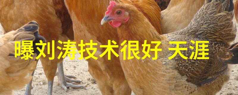 下载趣头条-探索新闻娱乐的双重奏鸣如何在手机上找到最有趣的头条文章
