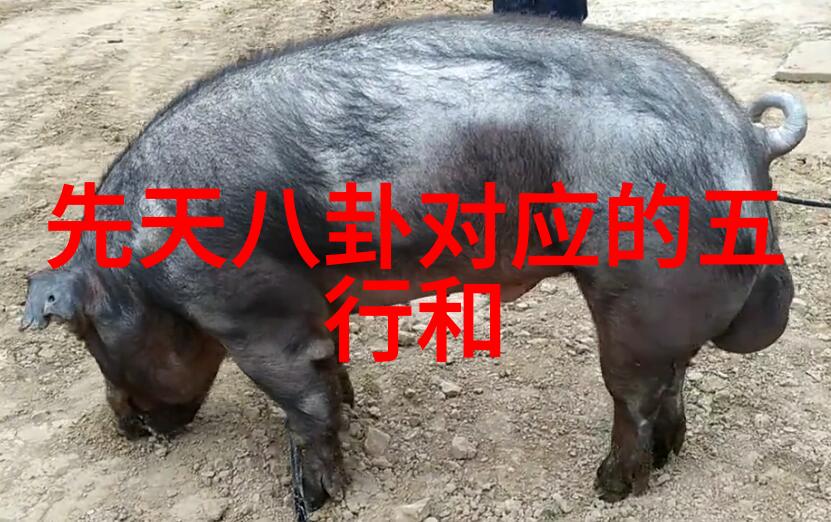 两岸情绪波动窗外的风内心的涟漪