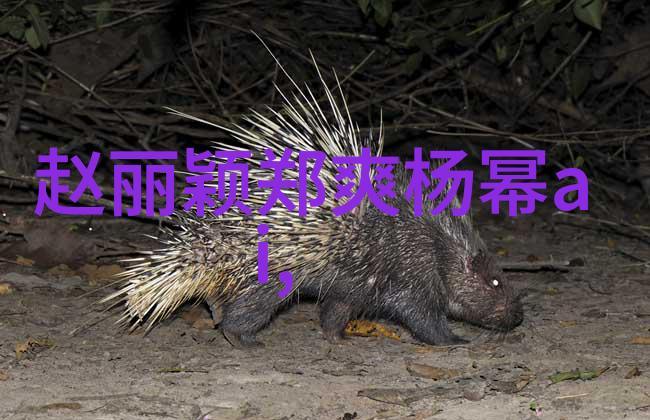 追踪经典一角背后的实力派演员关于何冰的故事