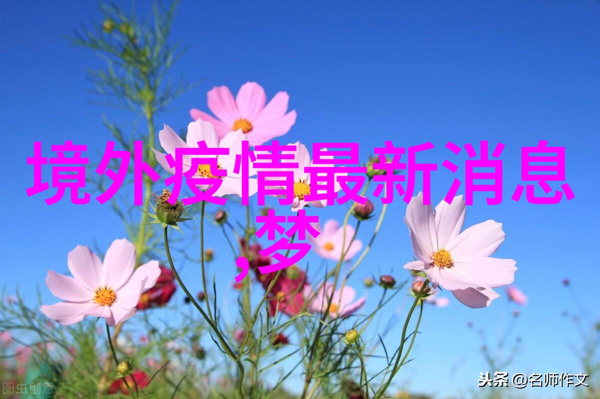 你还在用旧方式下载今日头条极速版吗来尝试一下免费下载安装的新方法吧